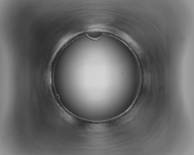 X0000113141376200909110925