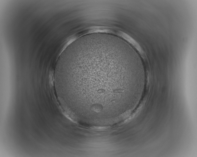 X0000113141377200909110925