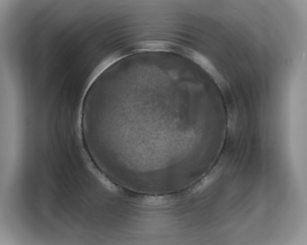 X0000113141378200909110925