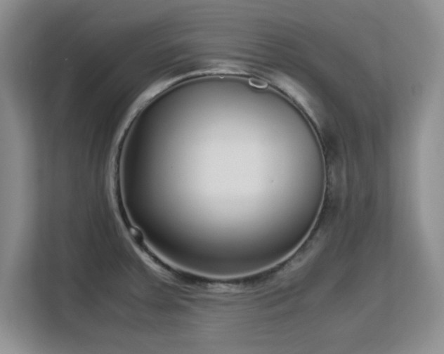 X0000113141379200909110925