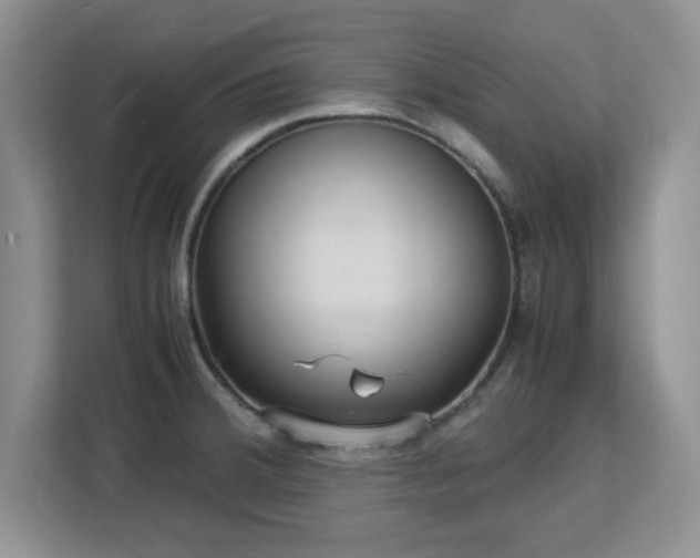 X0000113141380200909110925