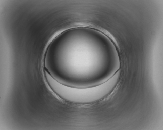 X0000113141381200909110925