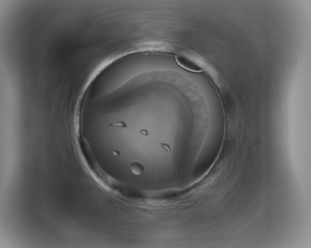 X0000113141383200909110925