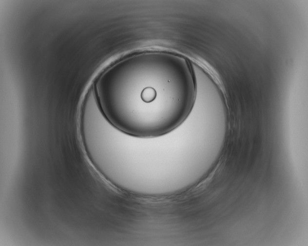 X0000113141384200909110925