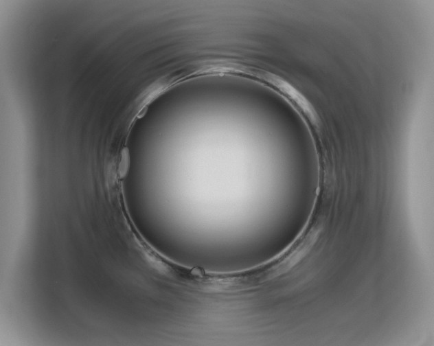 X0000113141385200909110925