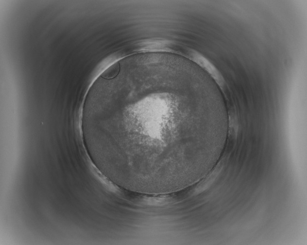 X0000113141386200909110925