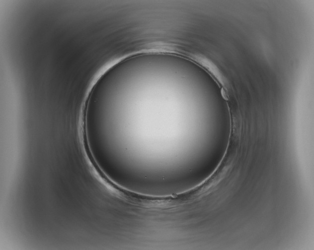 X0000113141387200909110925