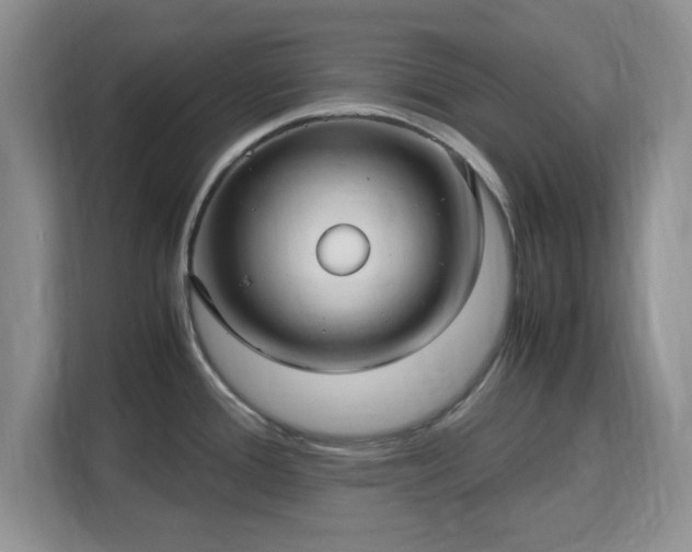 X0000113141388200909110925