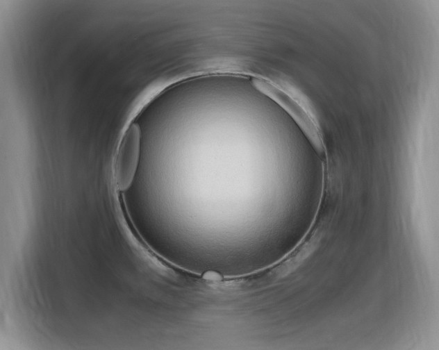 X0000113141389200909110925