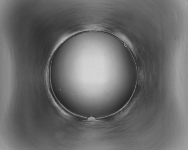 X0000113141391200909110925