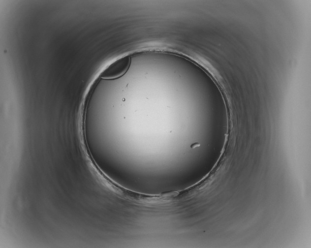 X0000113141392200909110925