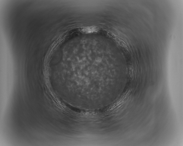 X0000113141393200909110924