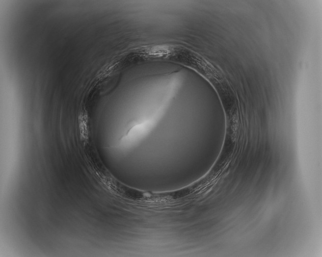 X0000113141394200909110924