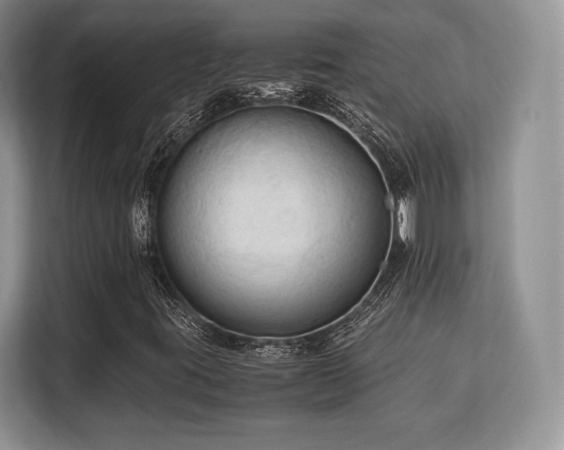 X0000113141395200909110924