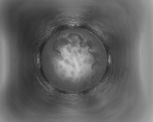 X0000113141396200909110924