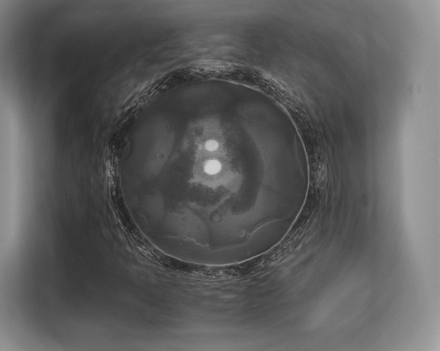 X0000113141397200909110924