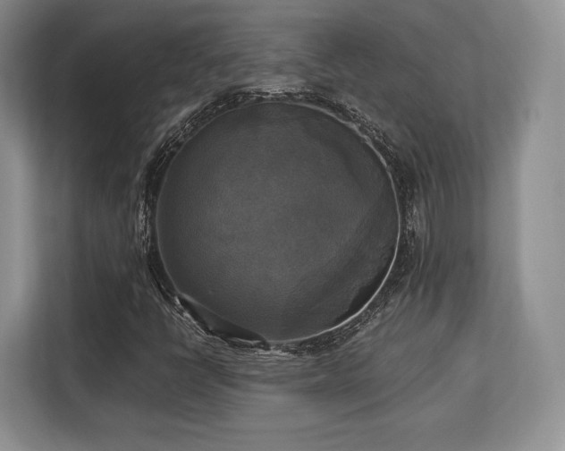 X0000113141398200909110924