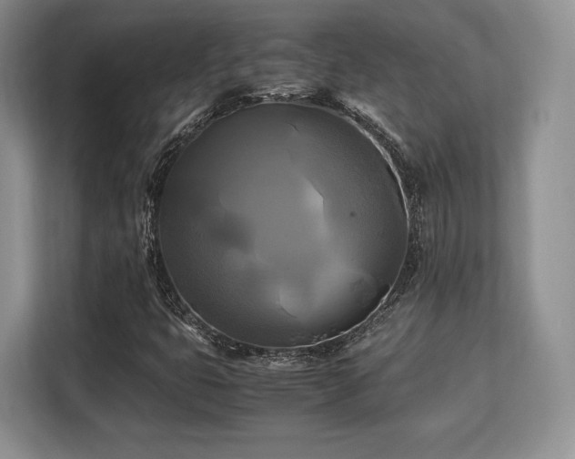 X0000113141399200909110924