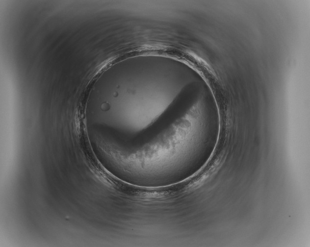 X0000113141401200909110925