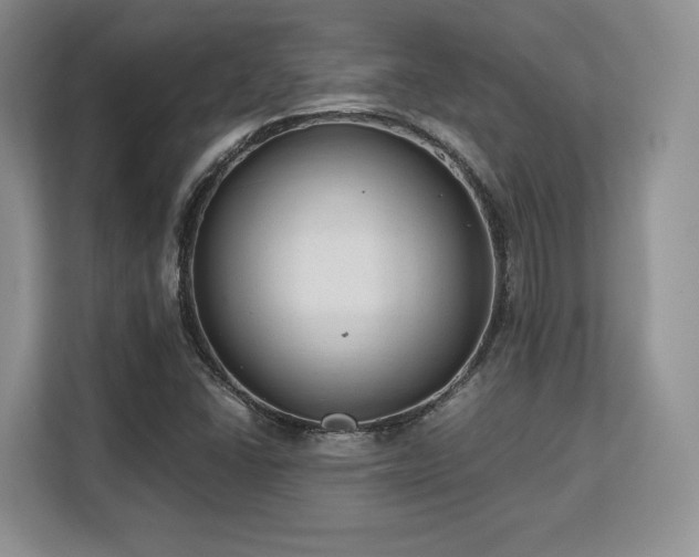 X0000113141406200909110925