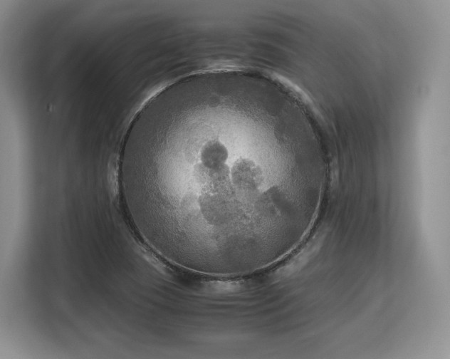 X0000113141409200909110925