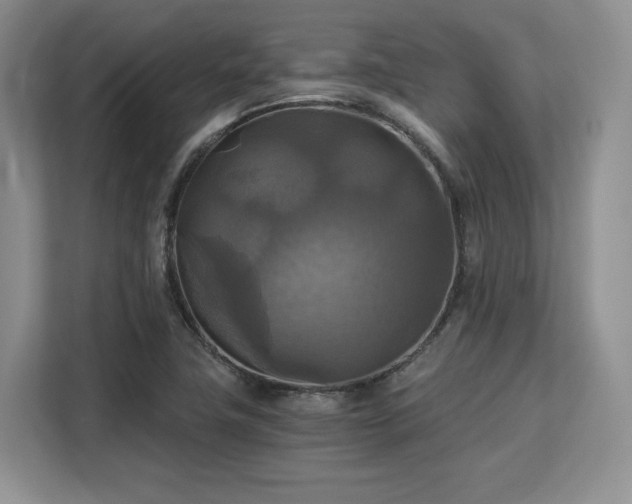 X0000113141411200909110925