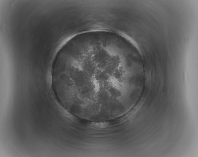 X0000113141415200909110925