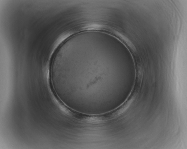 X0000113141418200909110925