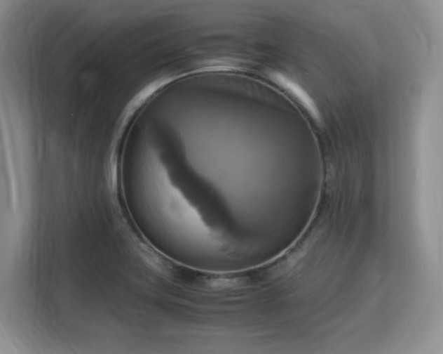 X0000113141419200909110925