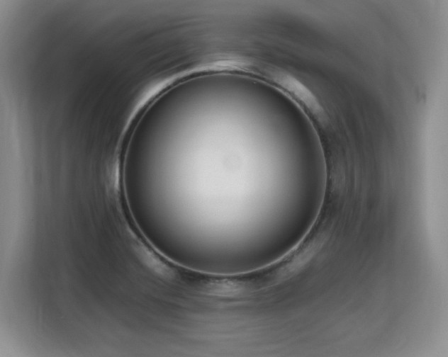 X0000113141420200909110925