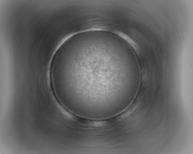 X0000113141423200909110925