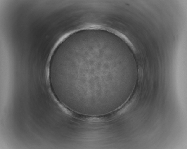 X0000113141424200909110925