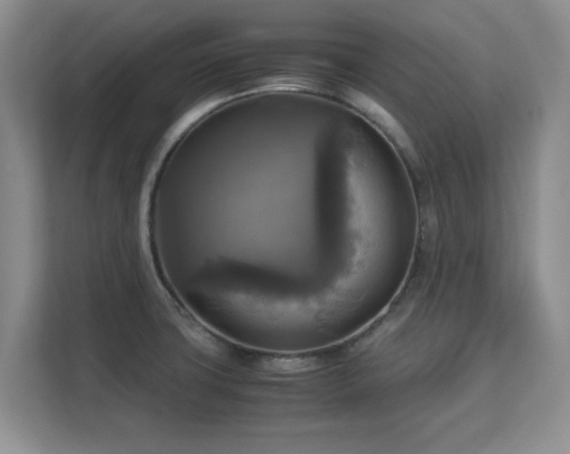 X0000113141427200909110925