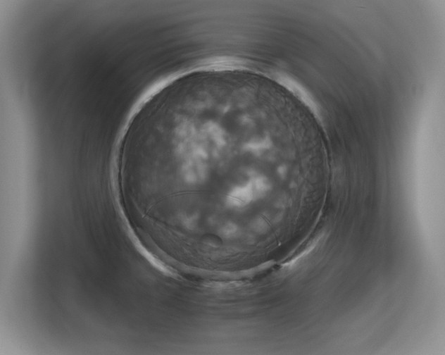 X0000113141429200909110925