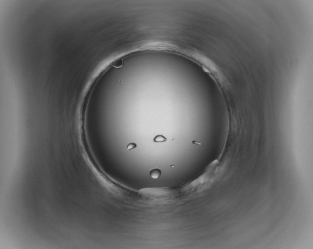 X0000113141430200909110925