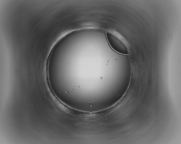 X0000113141431200909110925