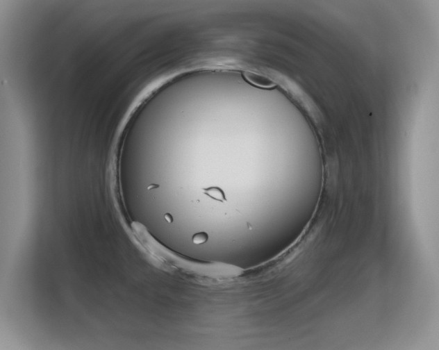 X0000113141432200909110925