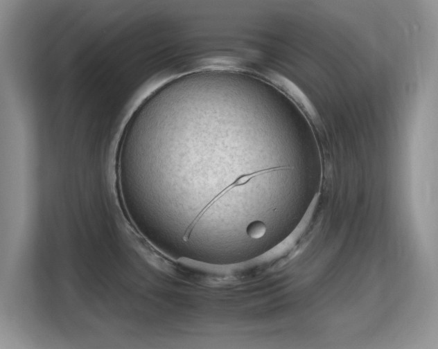 X0000113141435200909110925