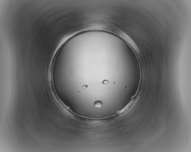 X0000113141436200909110925