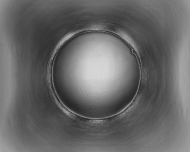 X0000113141437200909110925