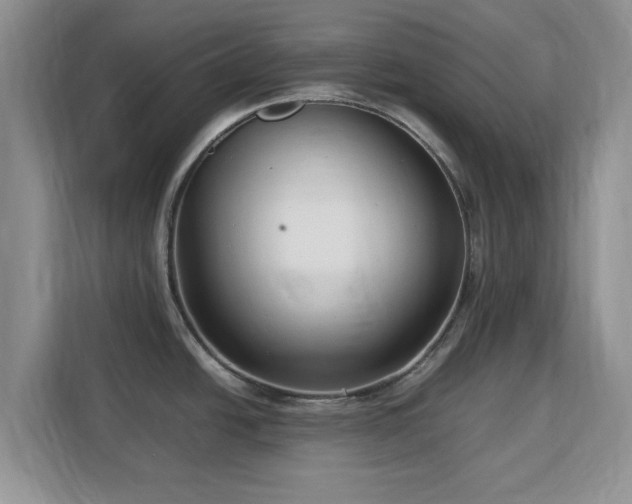 X0000113141438200909110925