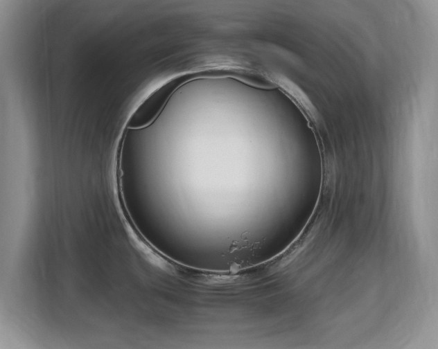 X0000113141439200909110925