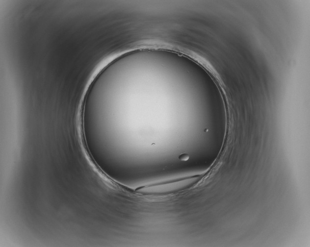 X0000113141440200909110925