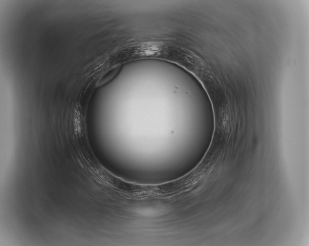 X0000113141442200909110924