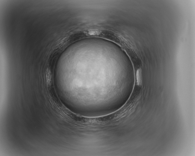 X0000113141443200909110924