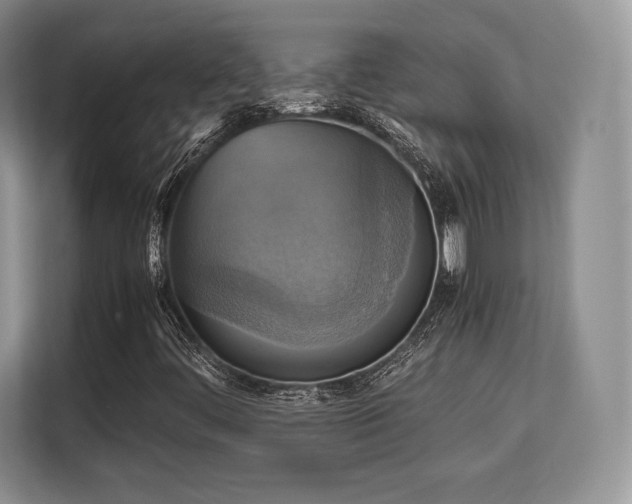 X0000113141444200909110924