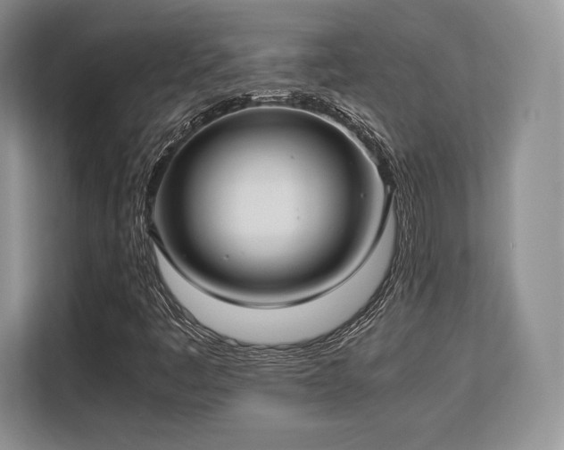 X0000113141445200909110924