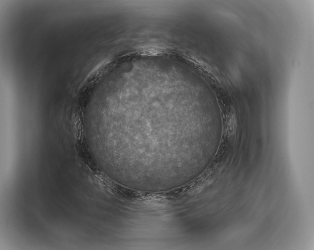 X0000113141446200909110924