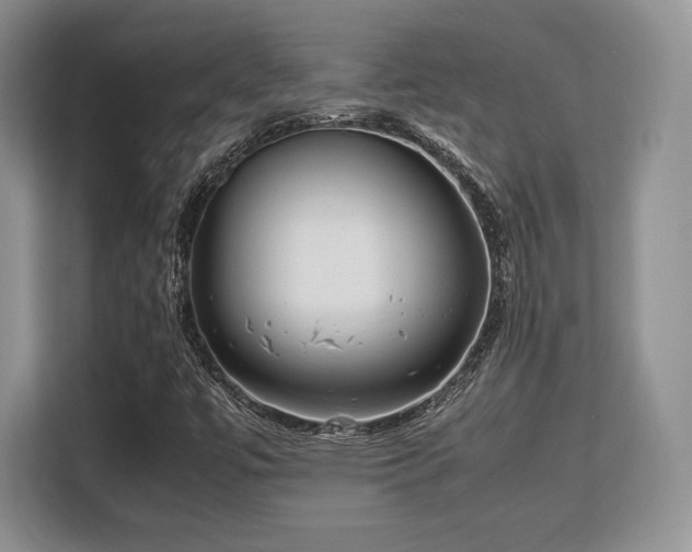 X0000113141447200909110924