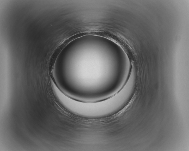 X0000113141449200909110924